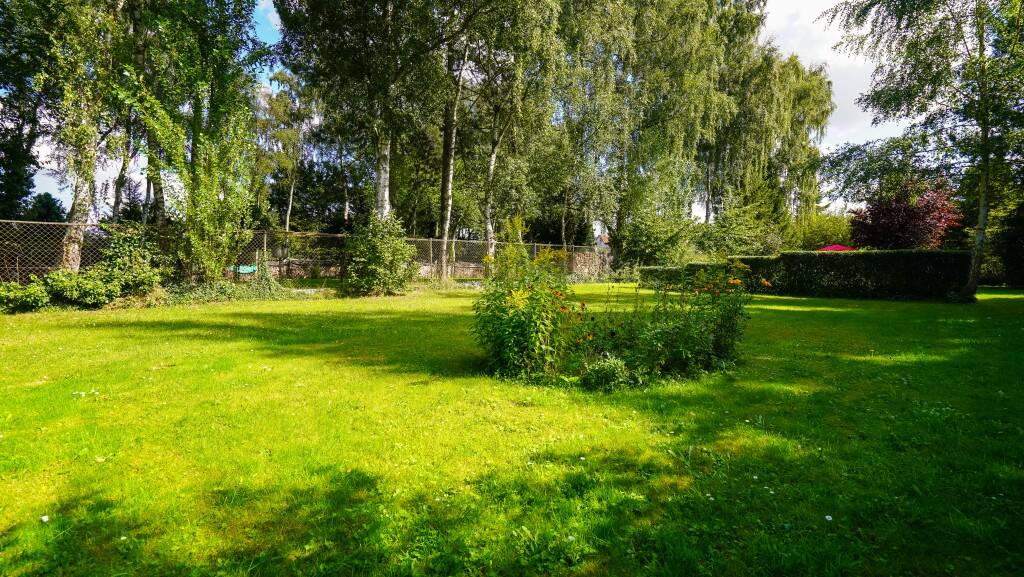 Bild 9