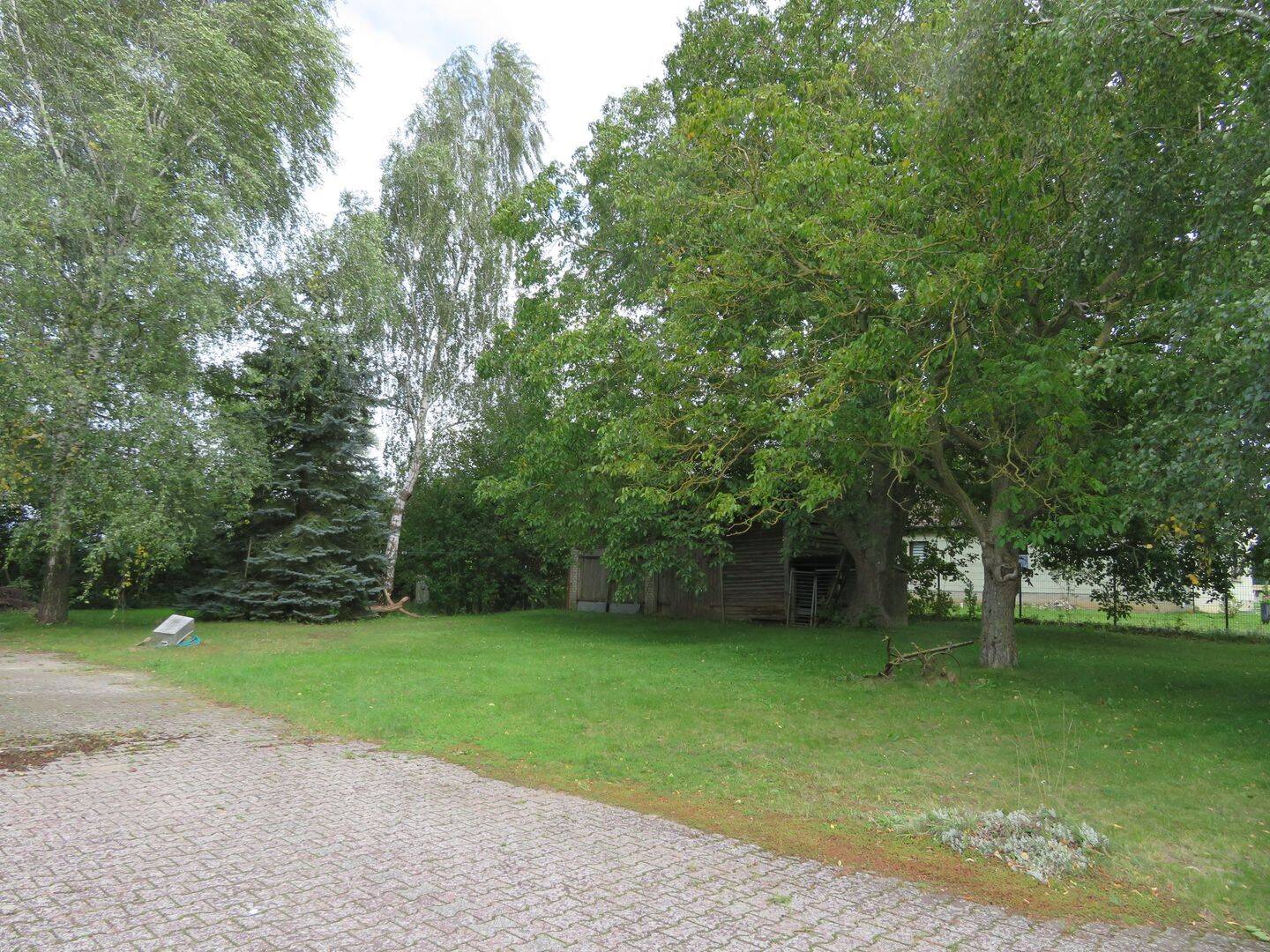 Bild 5