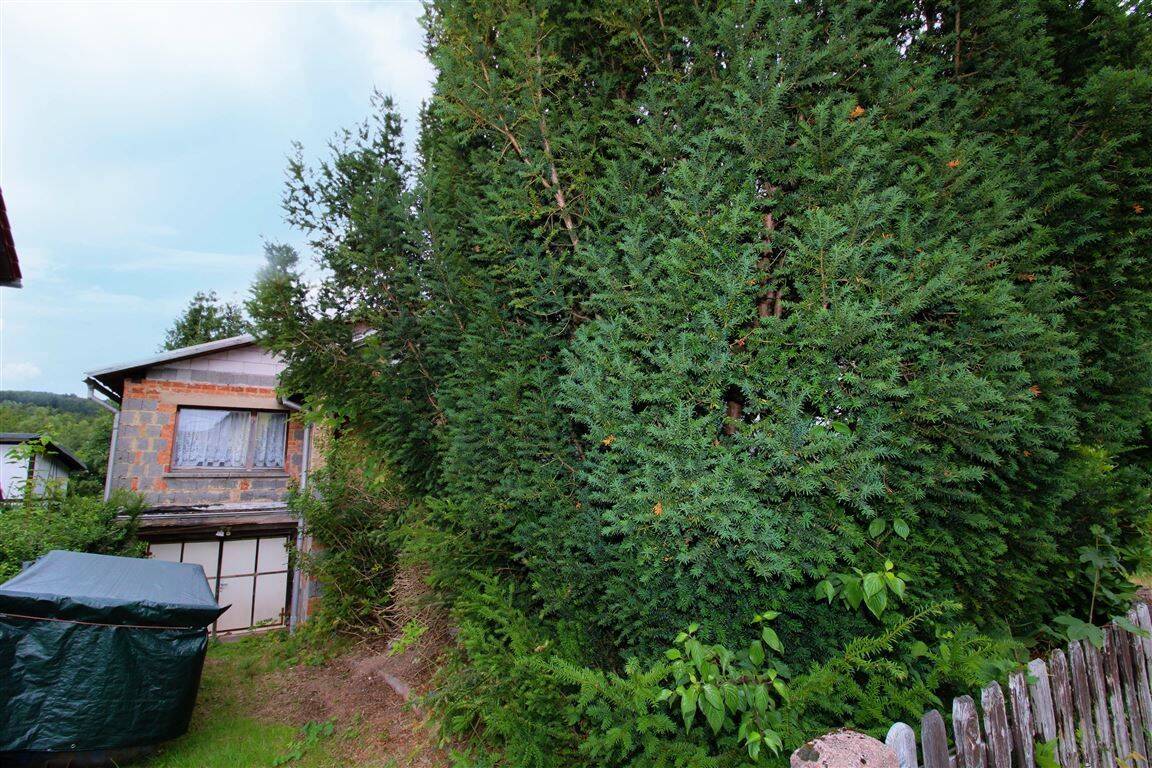 Bild 14