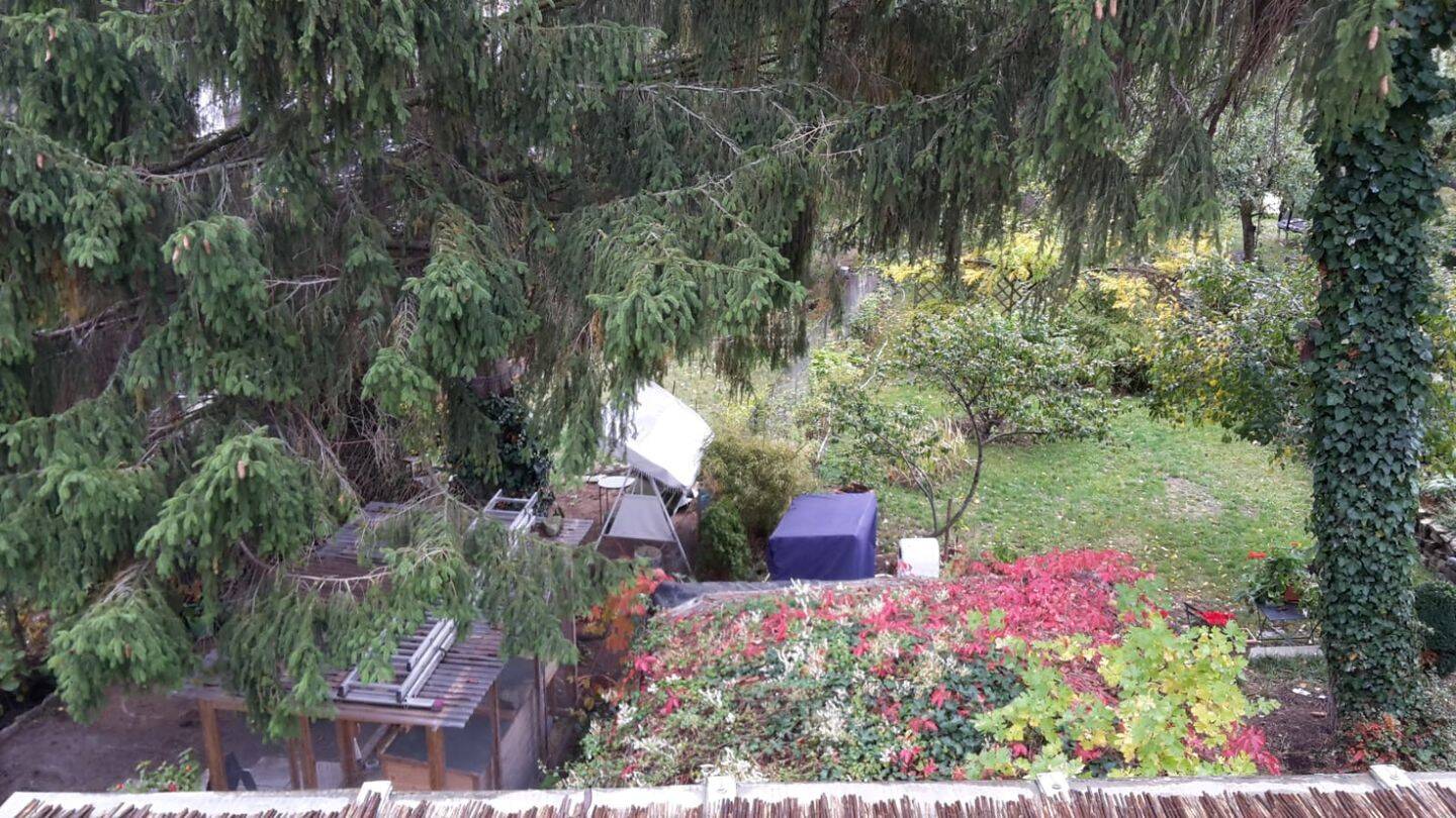 Bild 5