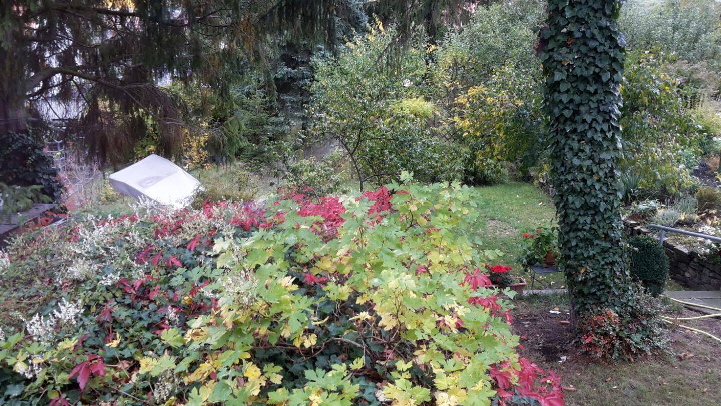 Bild 10