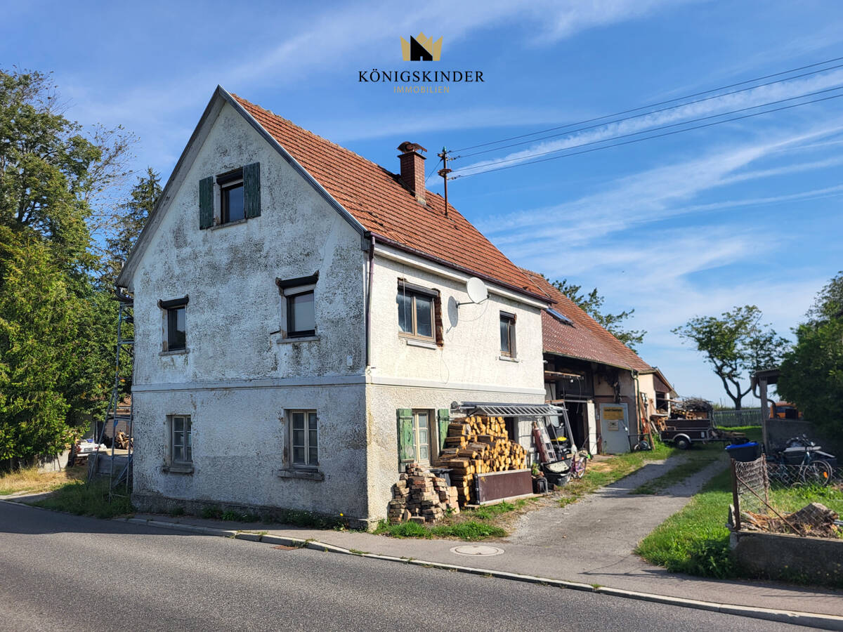 Bild 12