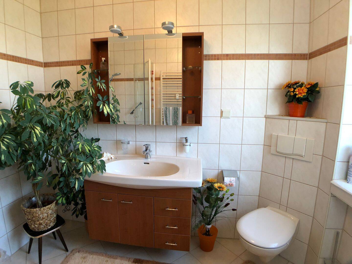 Bild 12