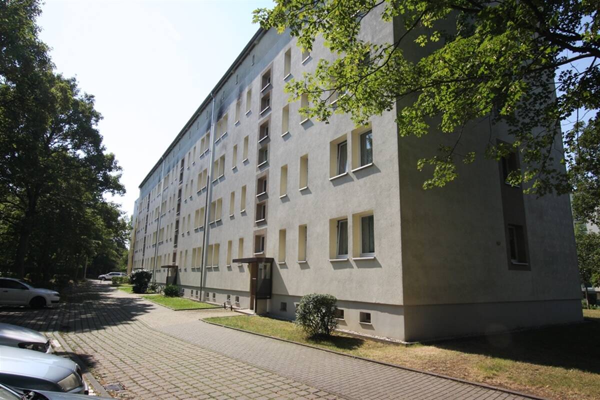 Bild 7