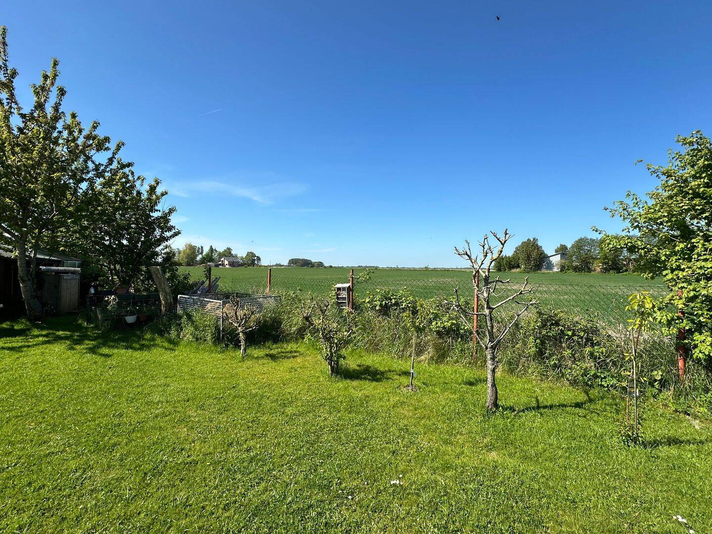 Bild 11