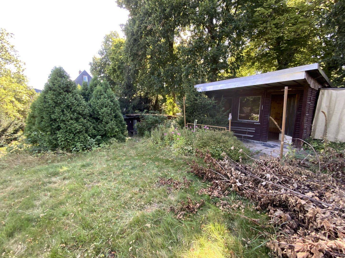 Bild 8