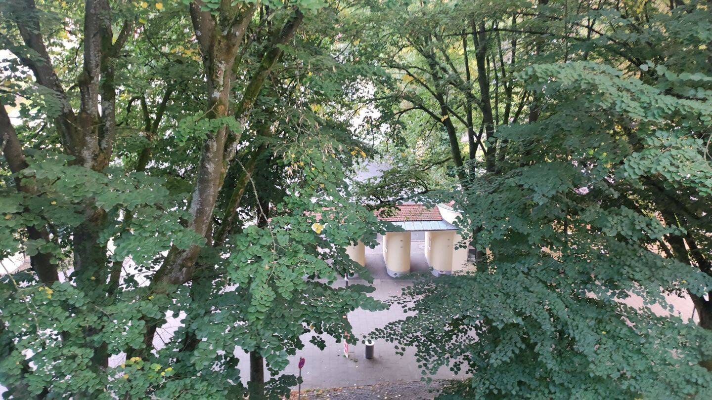 Bild 11