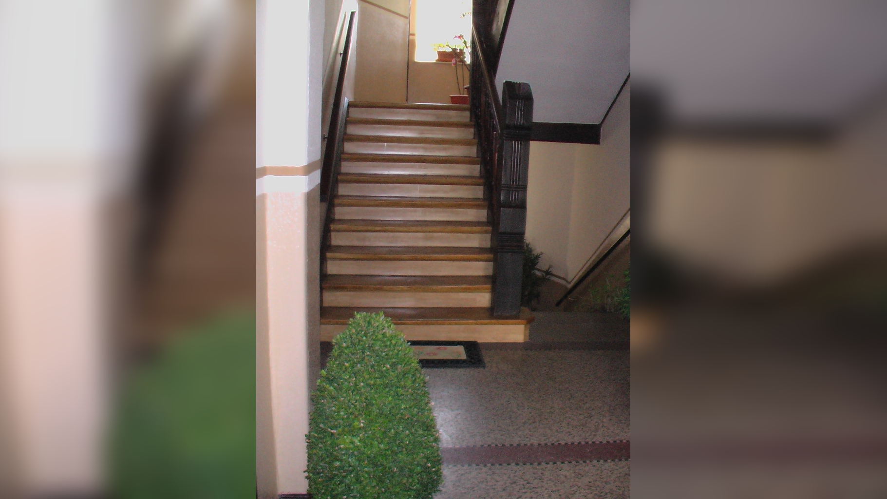 Bild 19