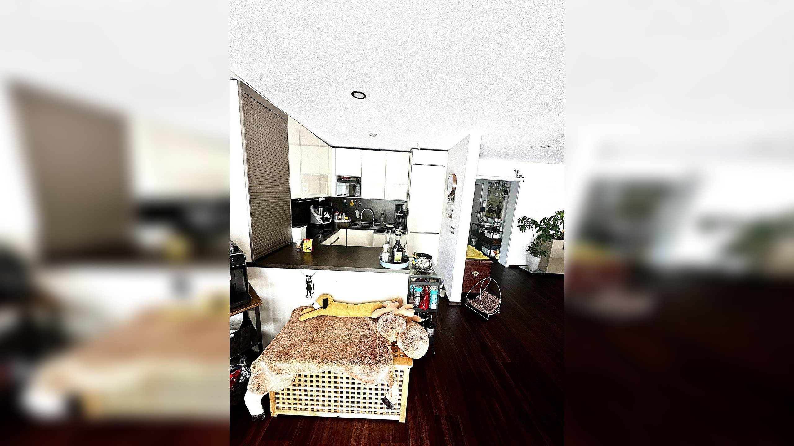 Bild 12