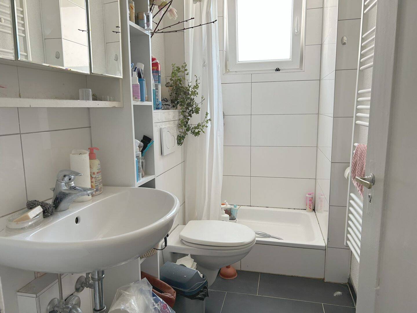 Bild 12
