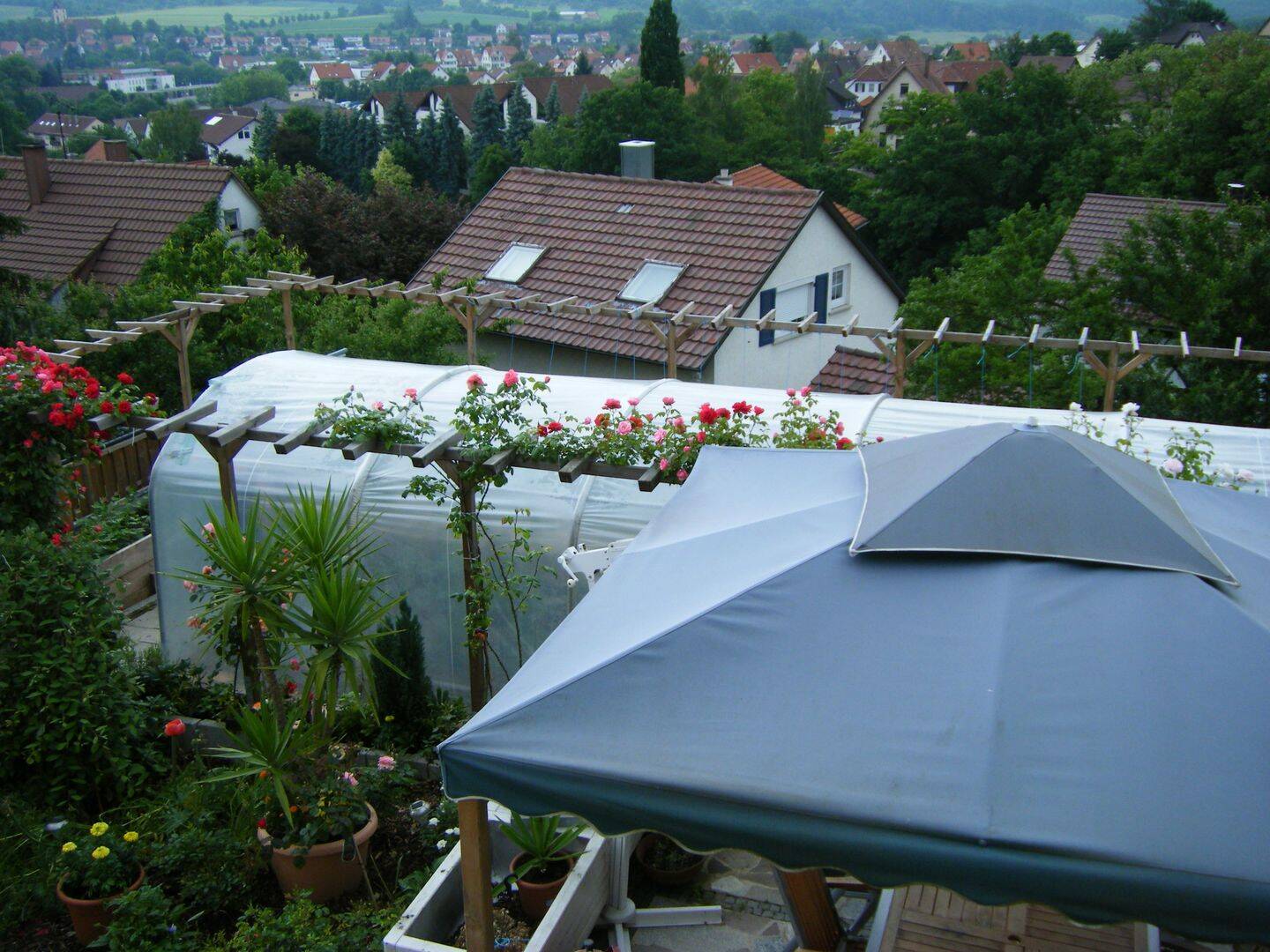 Bild 7