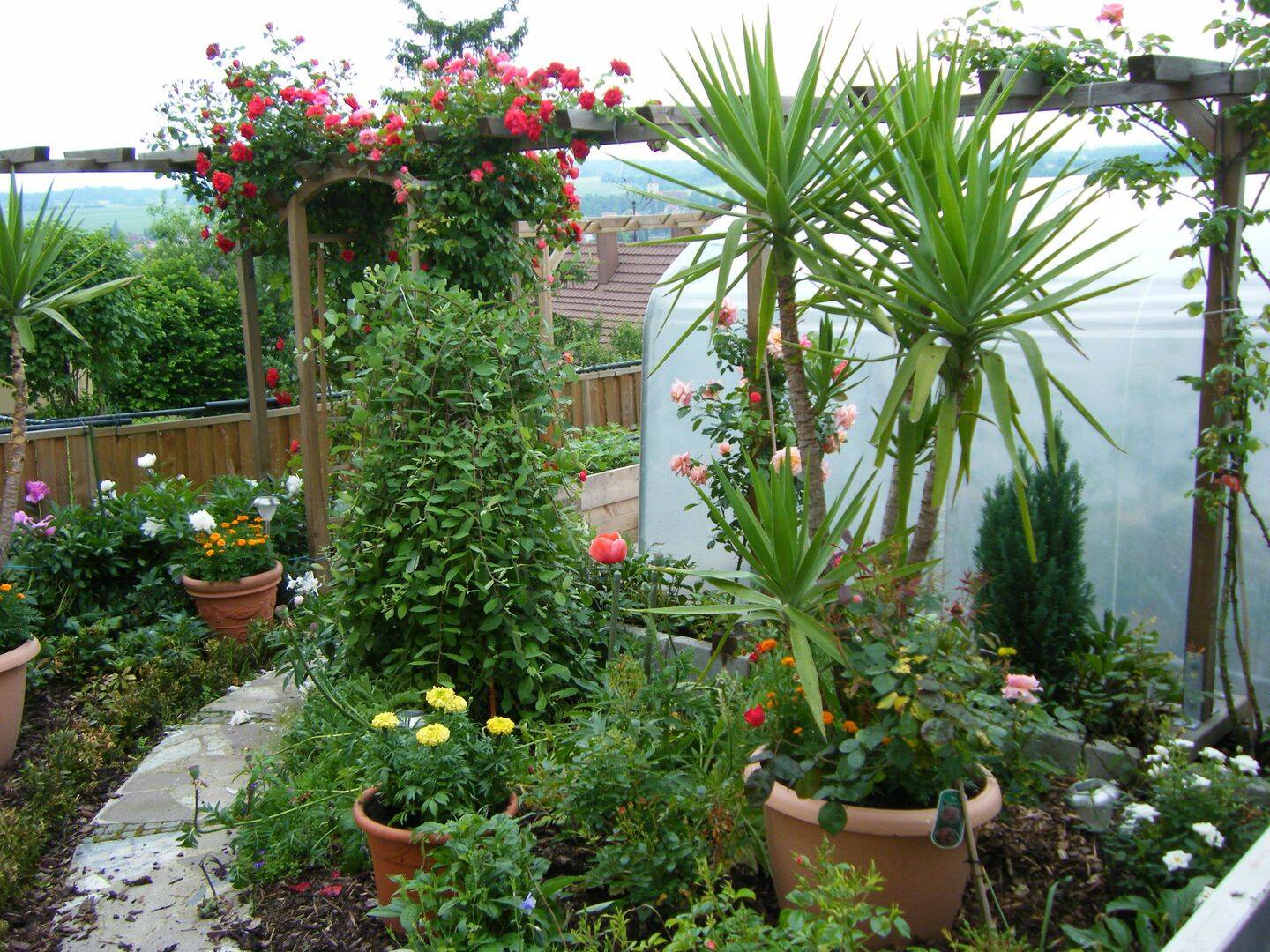 Bild 8
