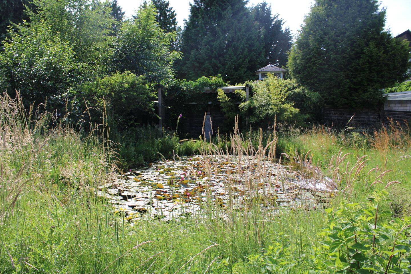 Bild 16