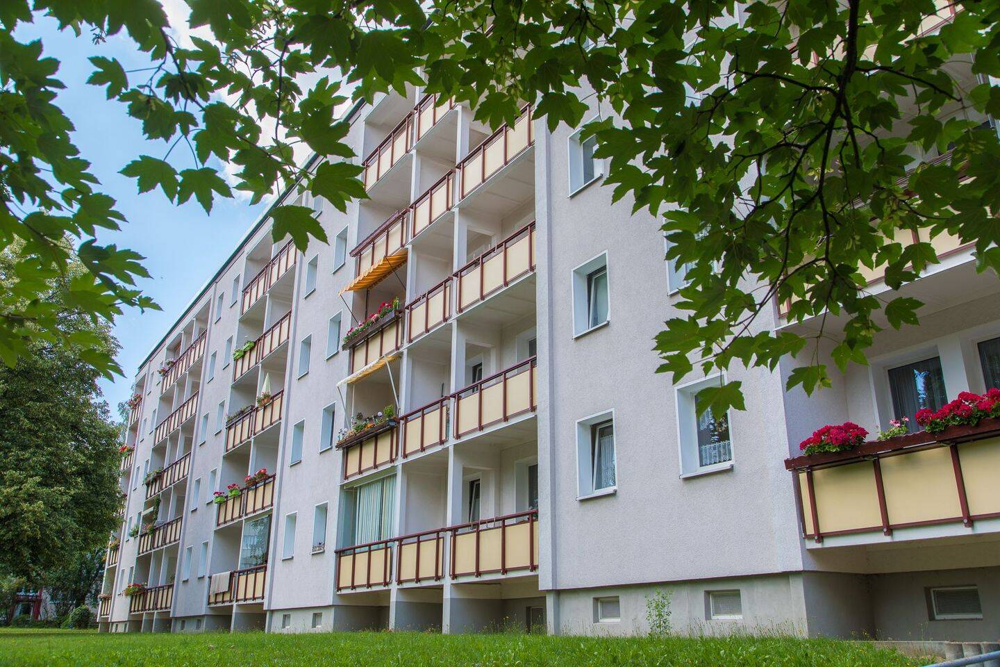 Bild 8