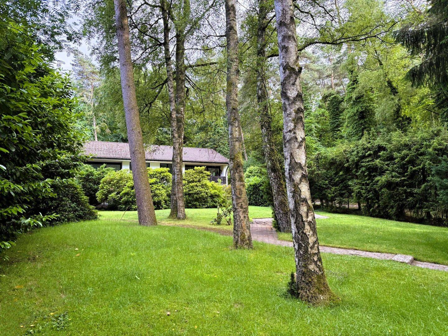 Bild 15