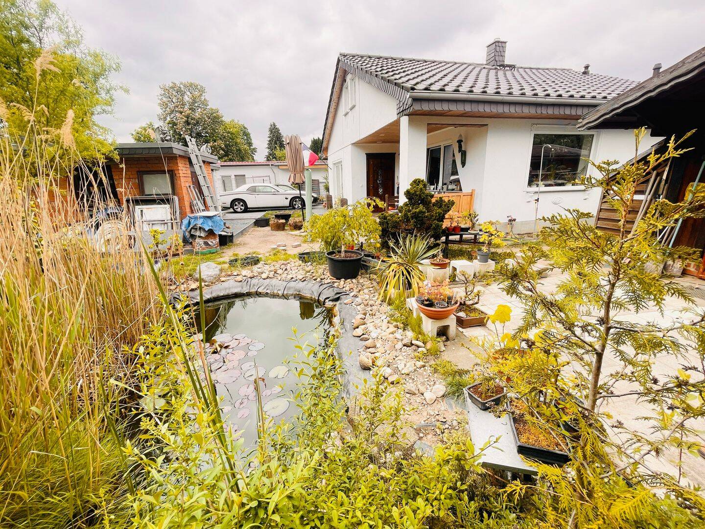 Bild 5
