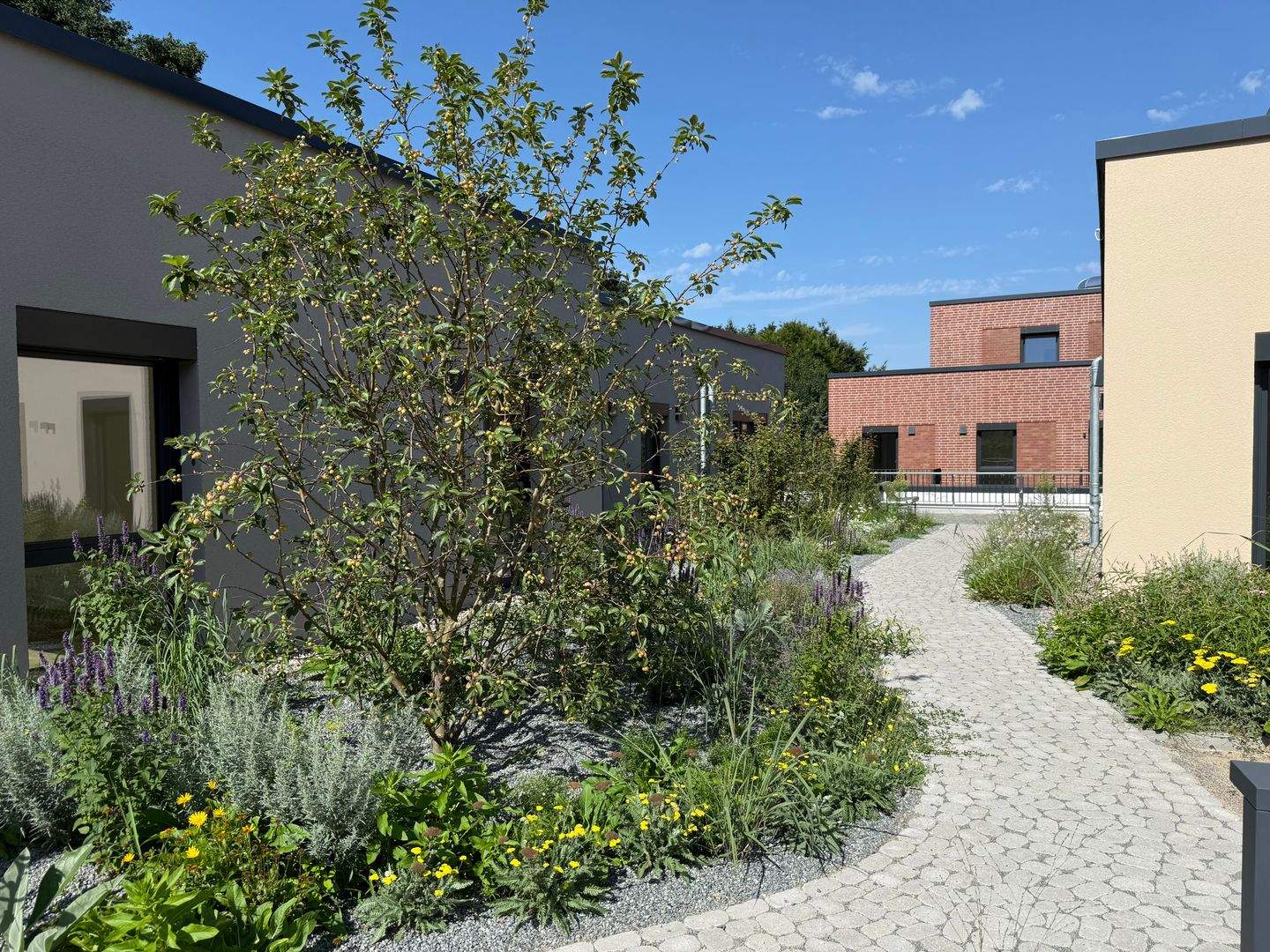 Bild 8