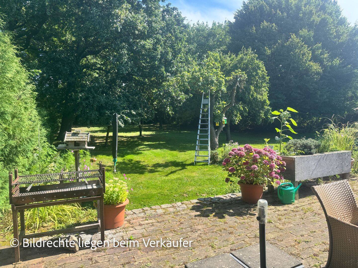 Bild 12