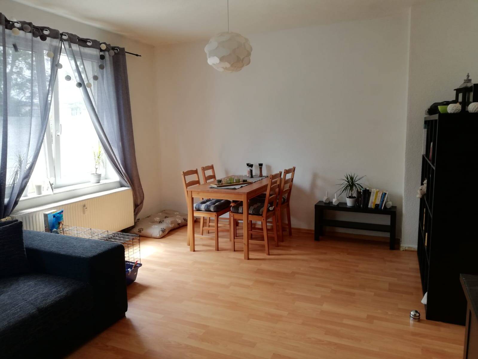 Bild 11