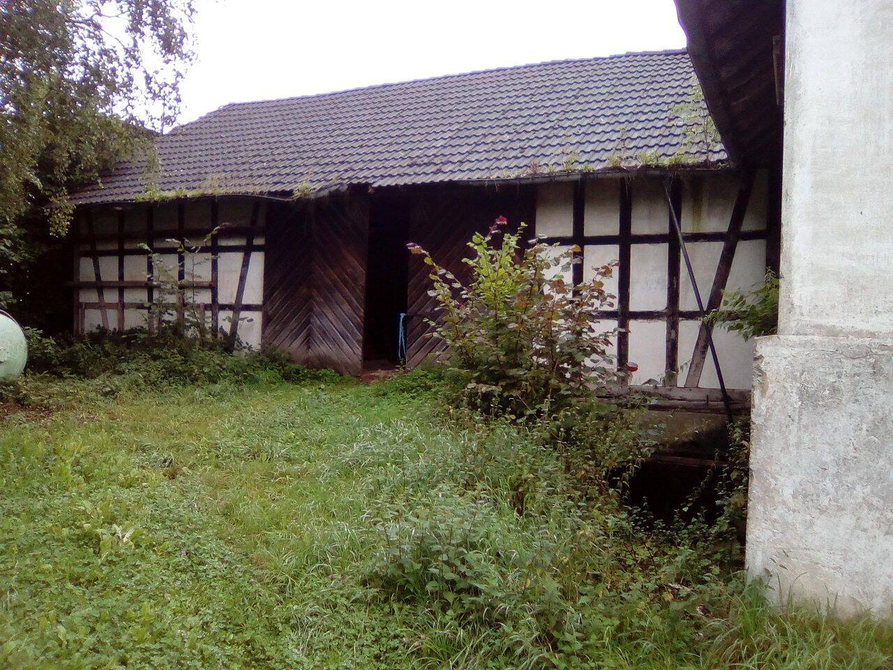 Bild 8