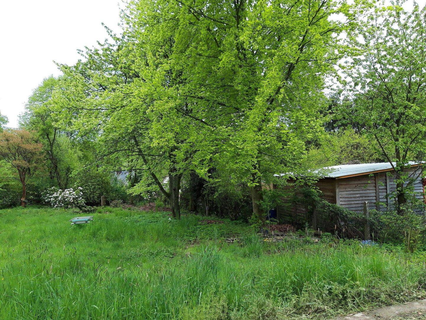 Bild 8