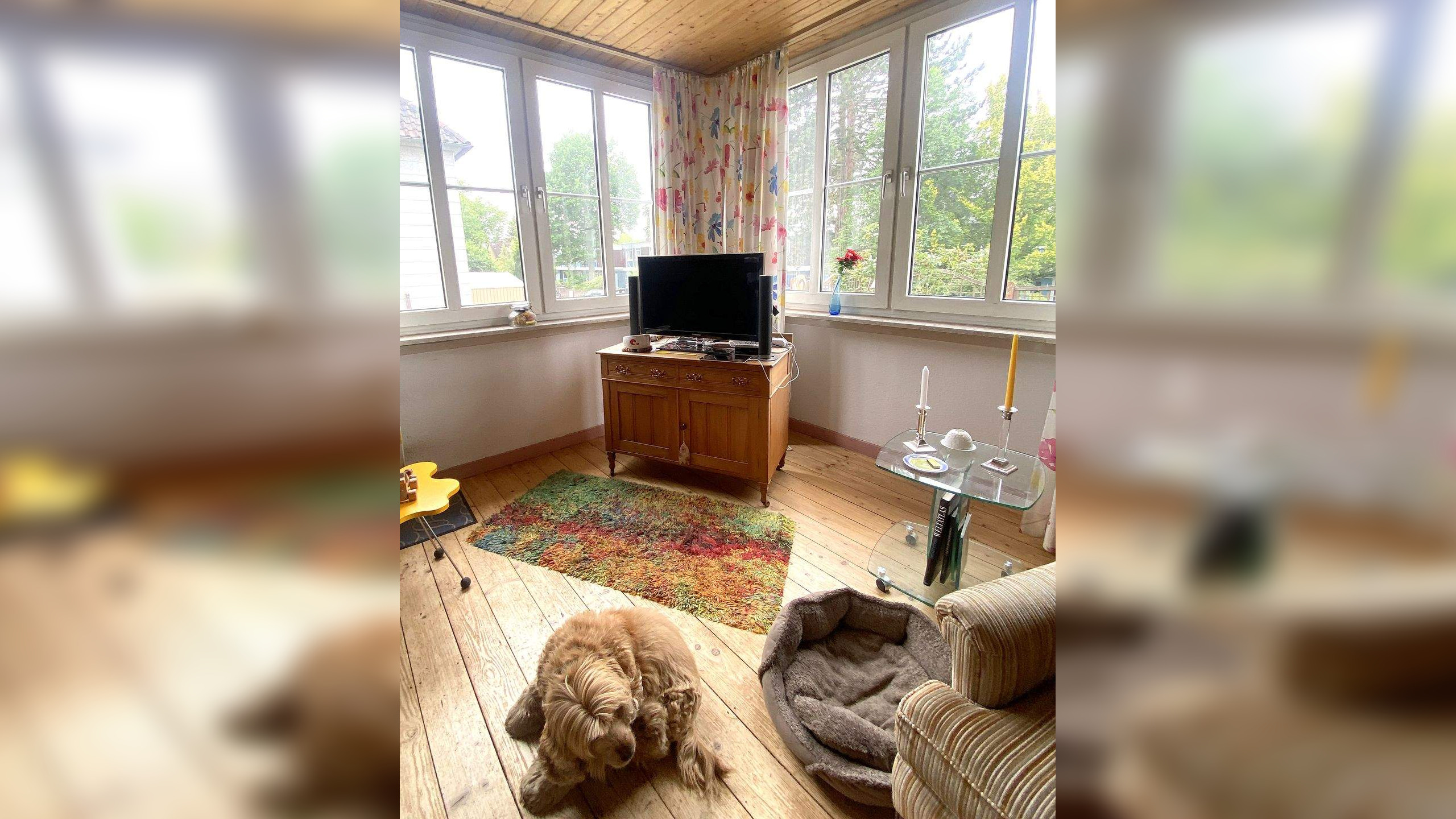 Bild 5