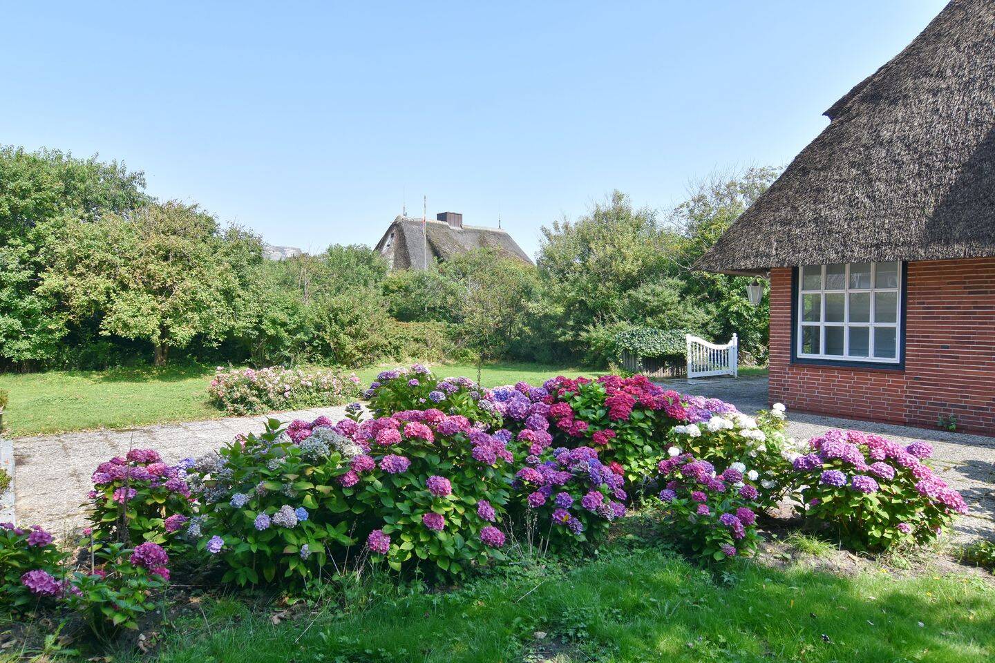 Bild 12