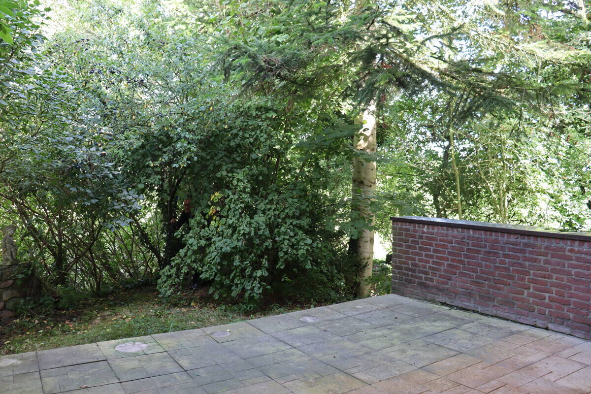 Bild 7