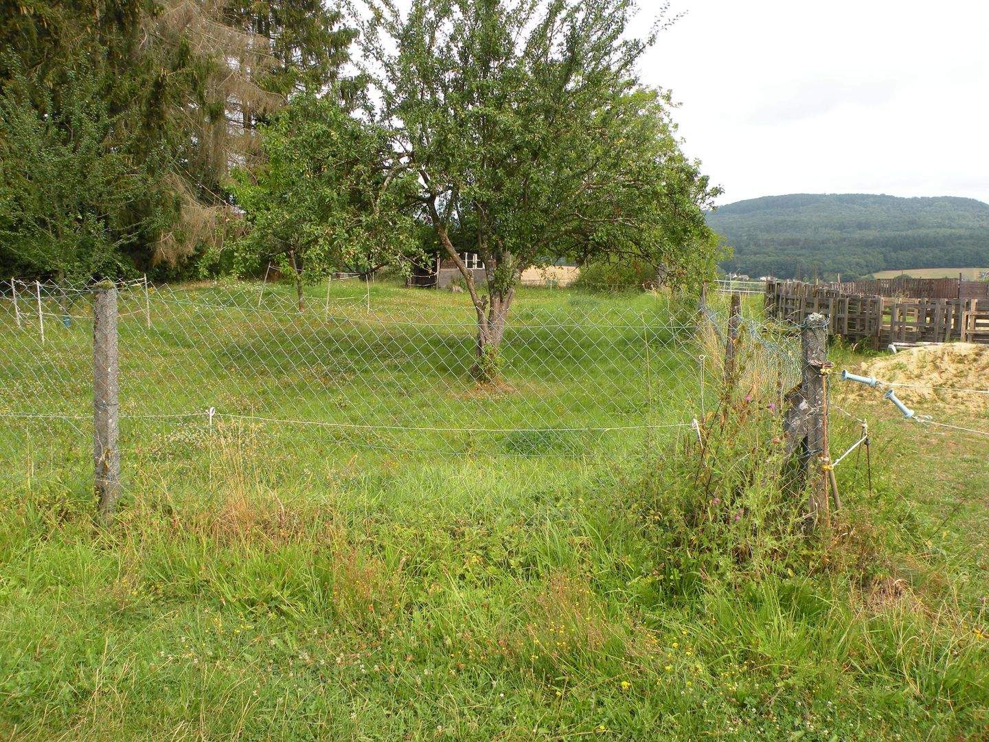 Bild 9