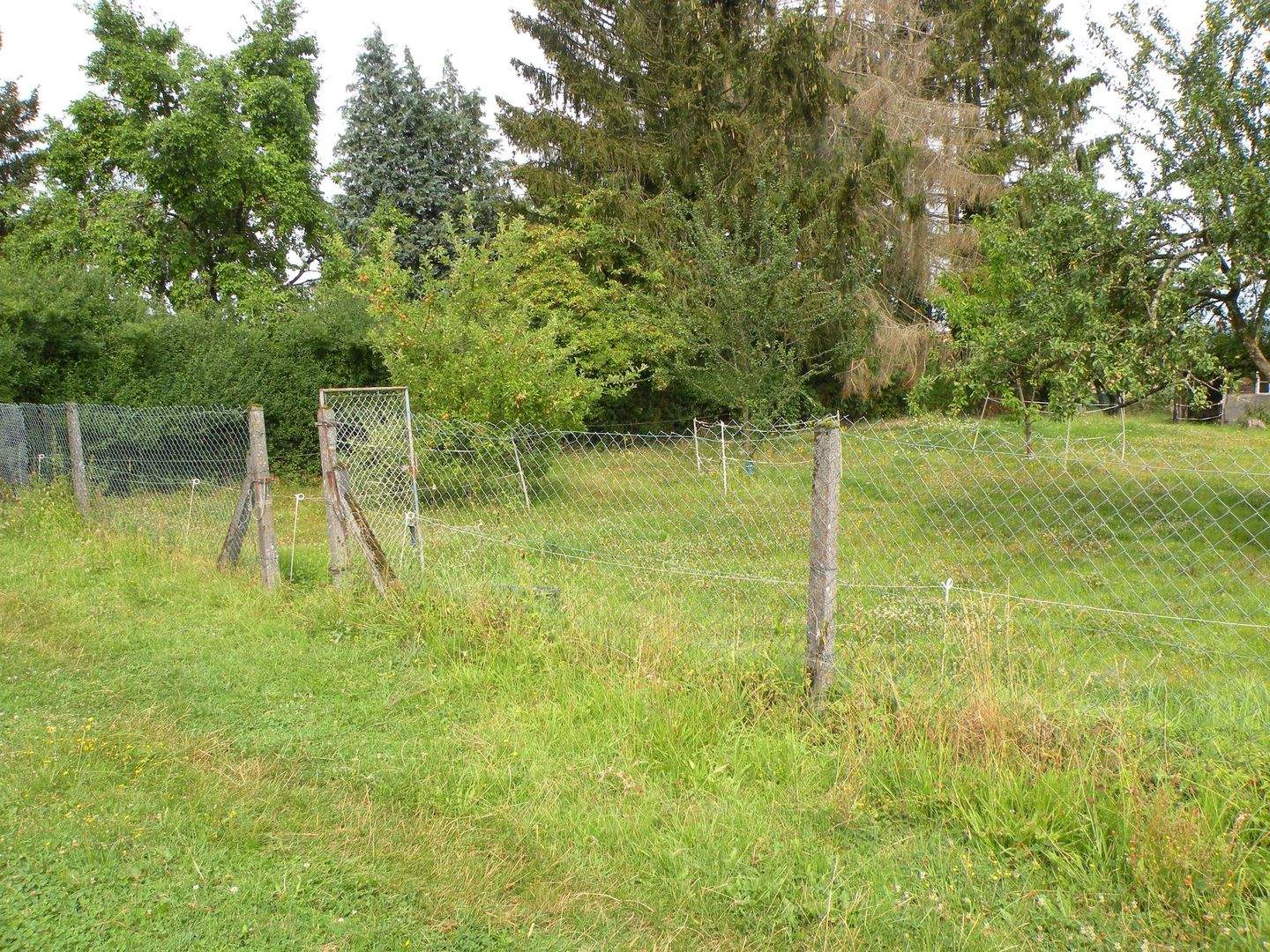 Bild 10