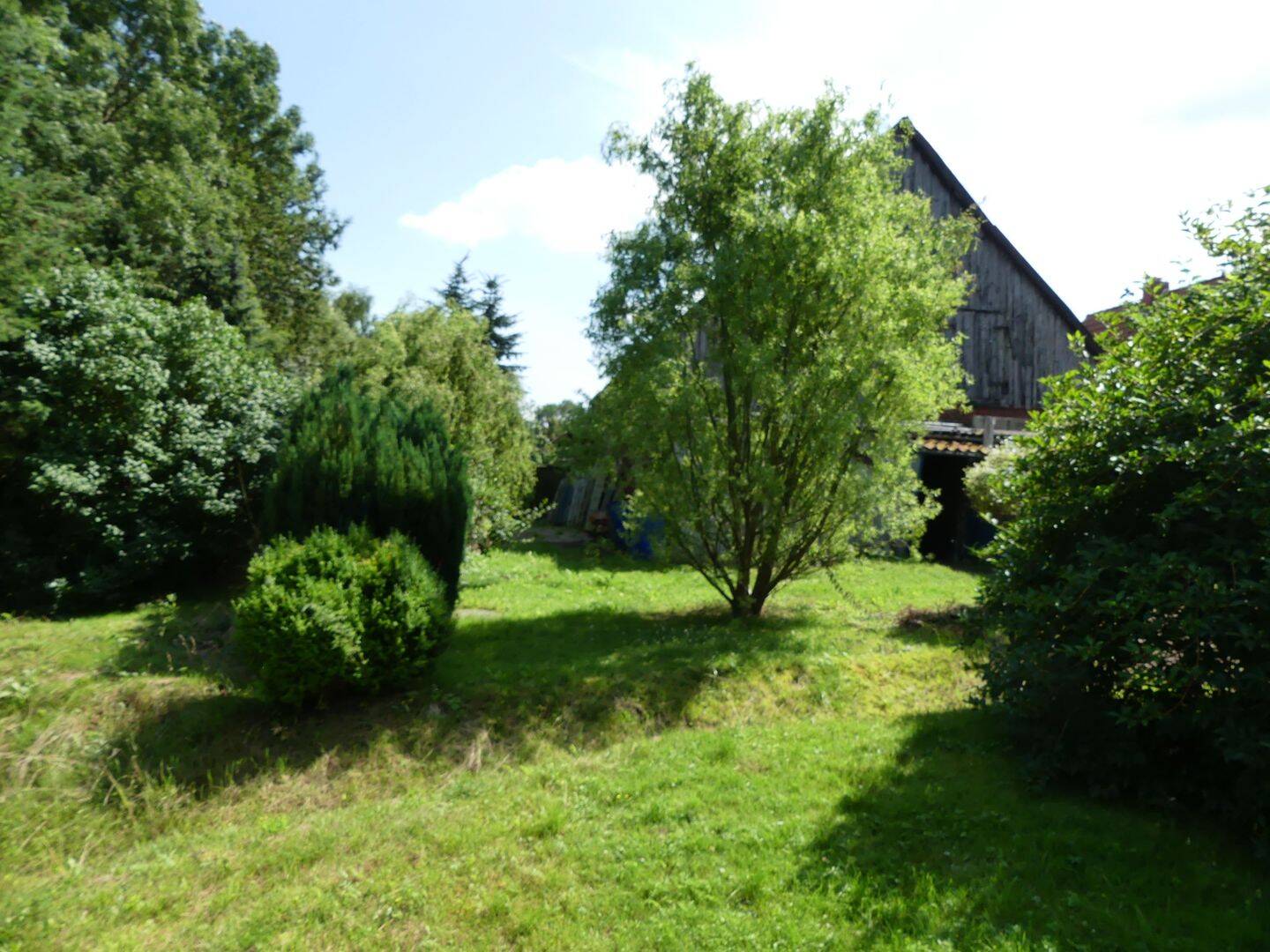 Bild 7