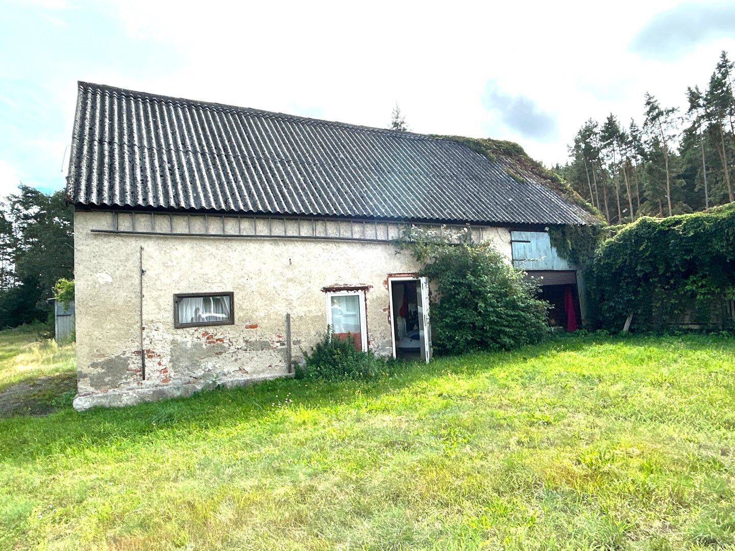 Bild 4