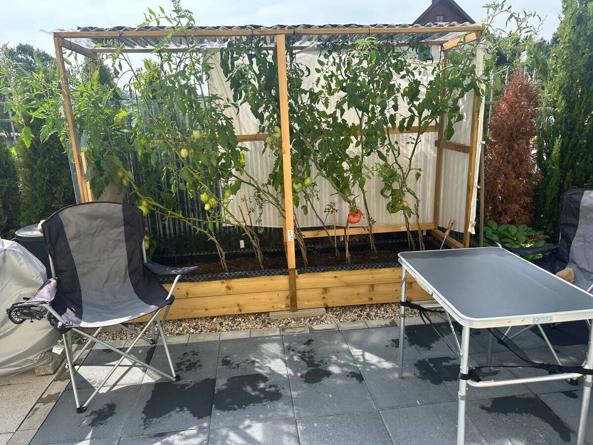 Bild 11