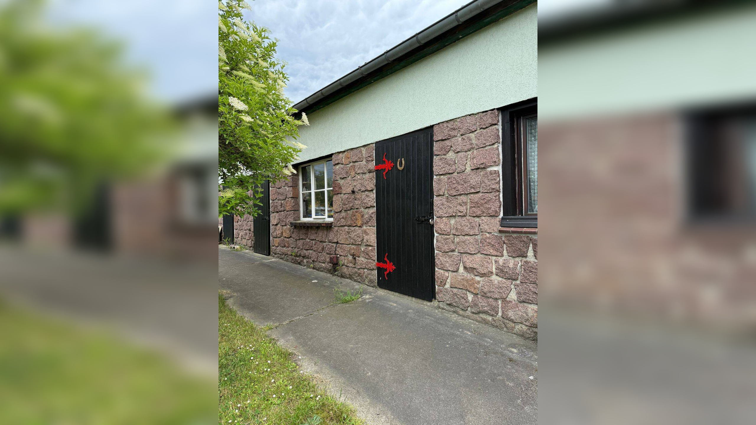 Bild 8