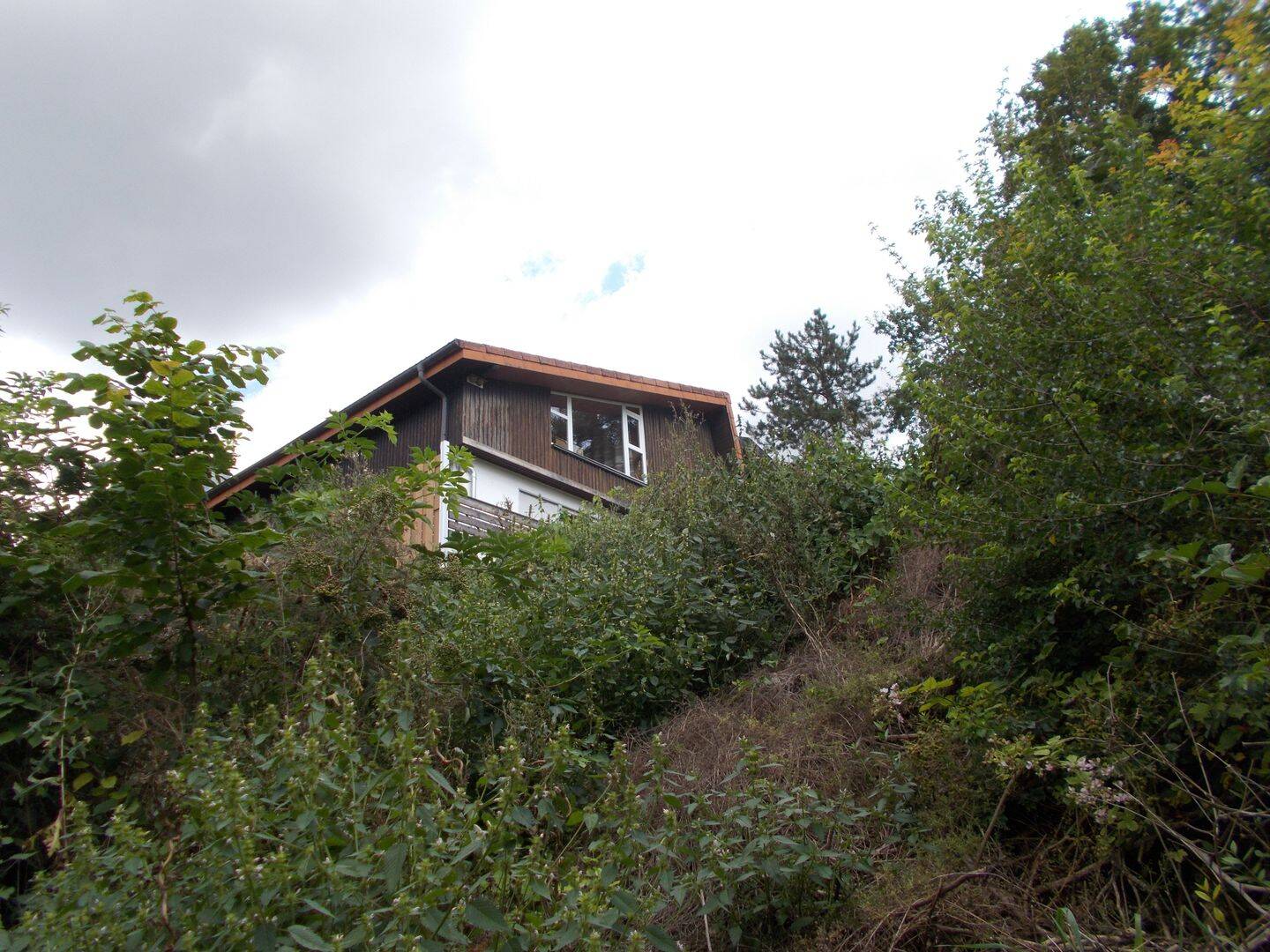 Bild 7