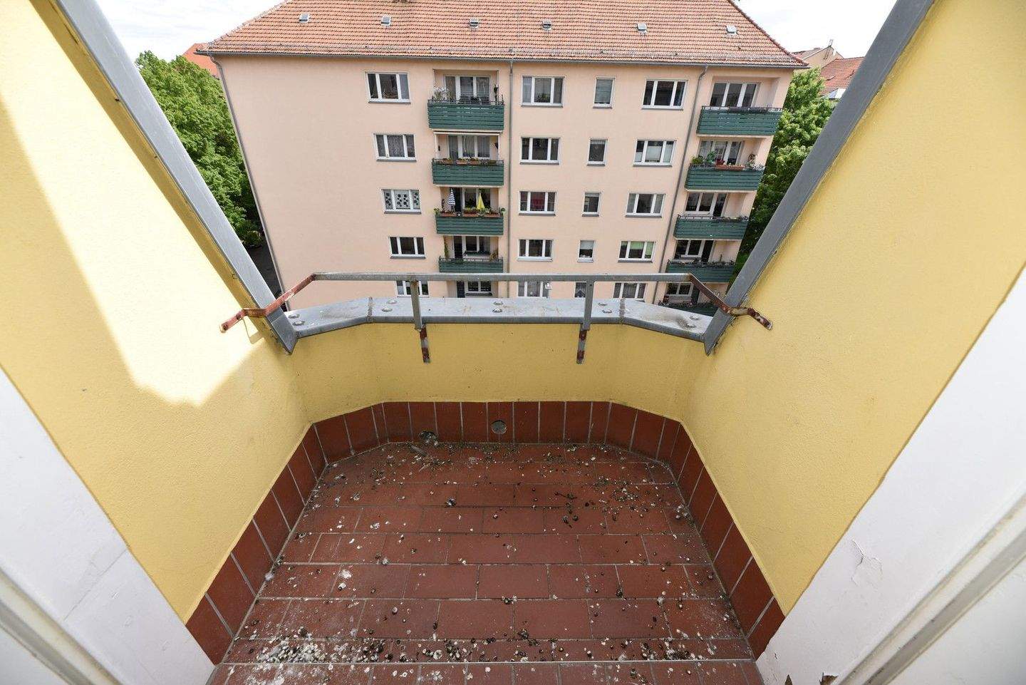Bild 8