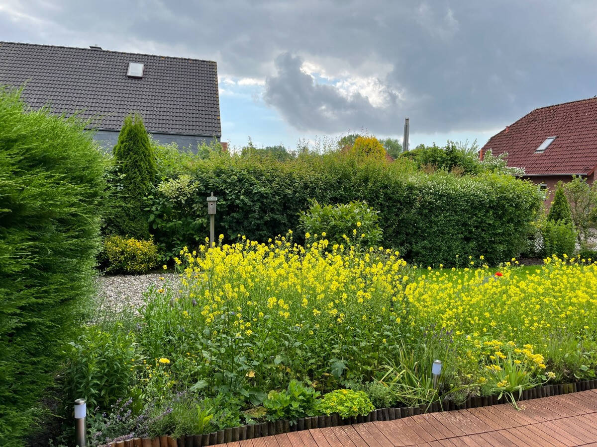 Bild 14