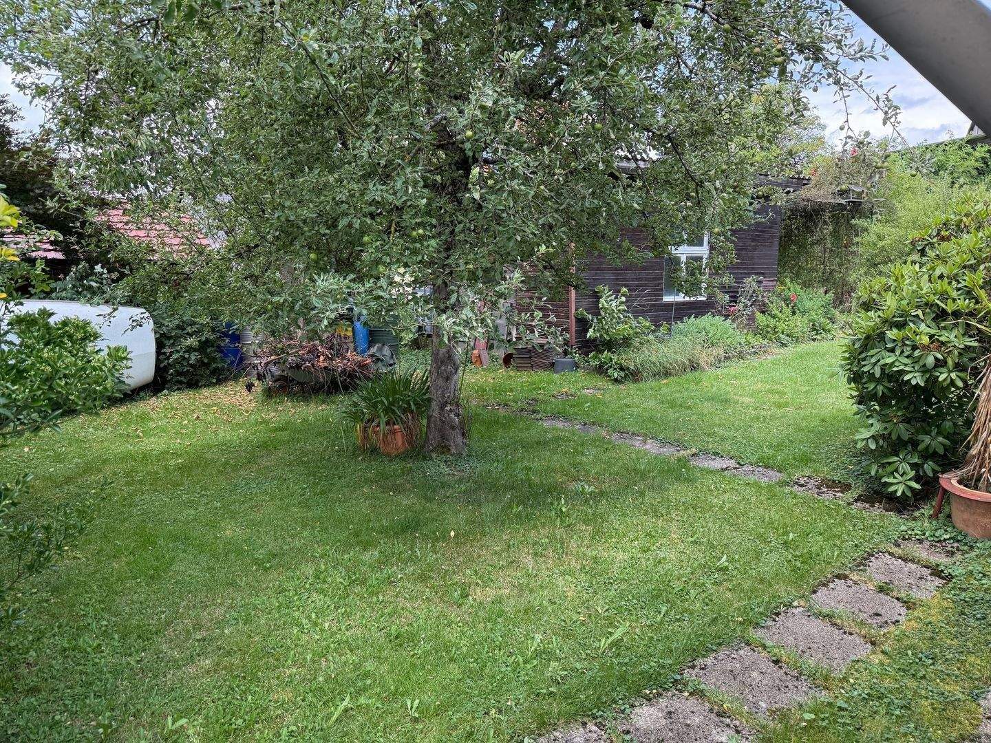 Bild 7