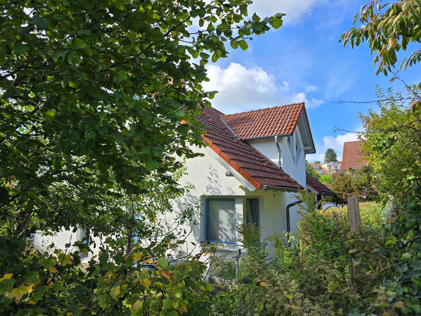 Bild 5