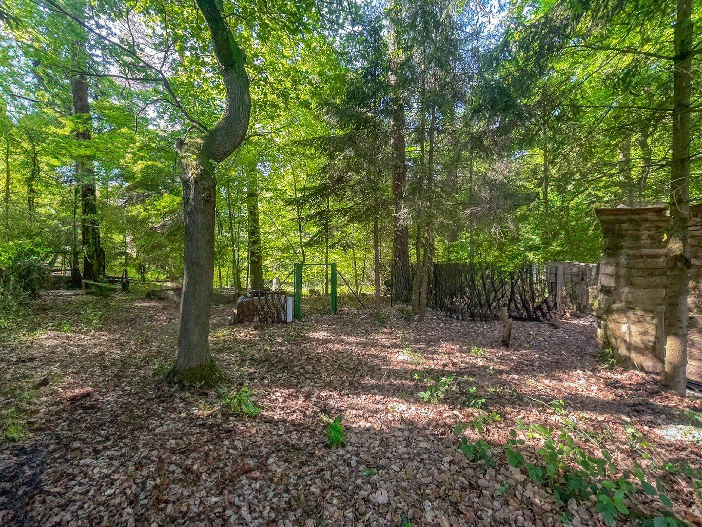 Bild 10
