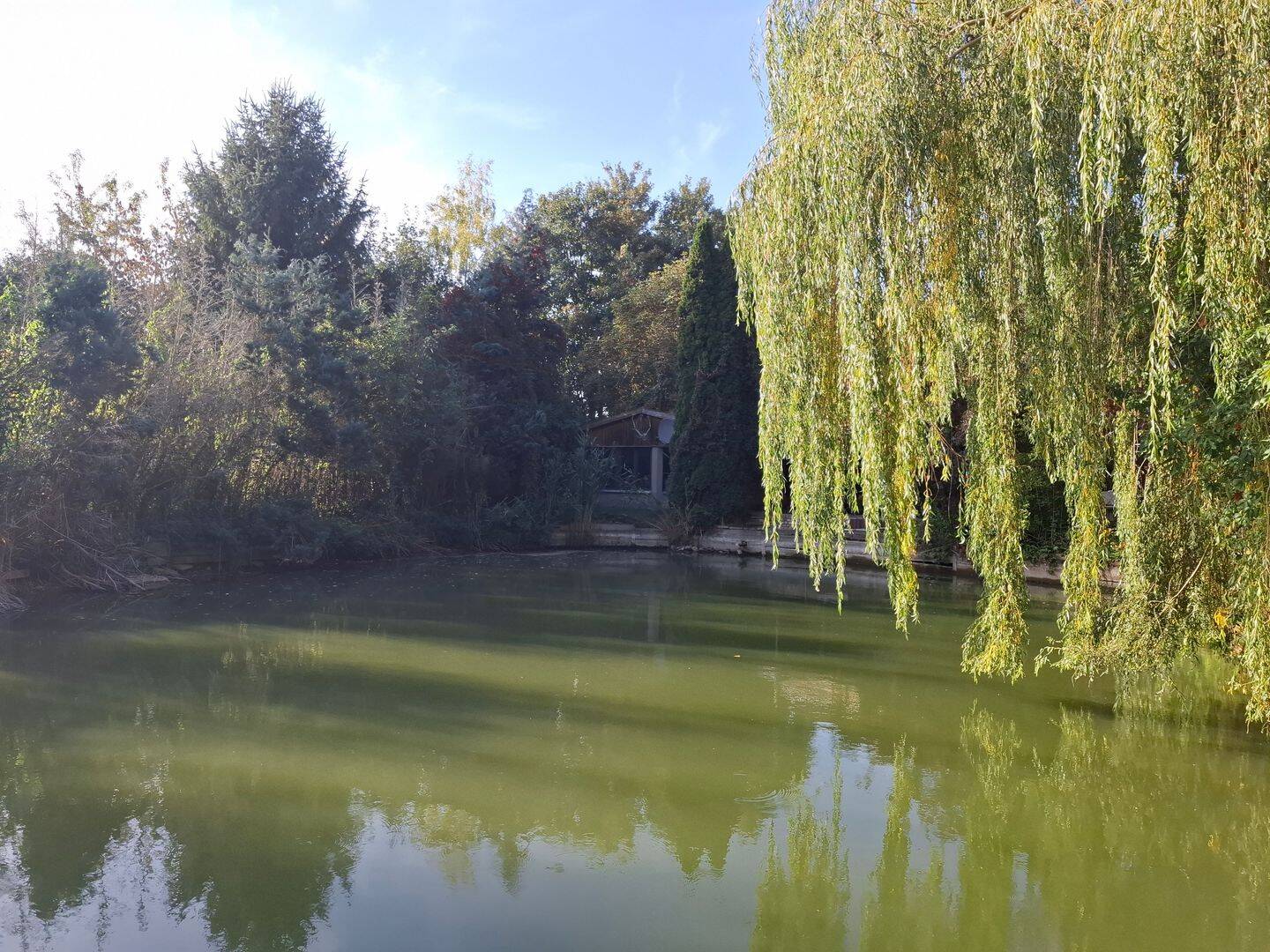 Bild 3