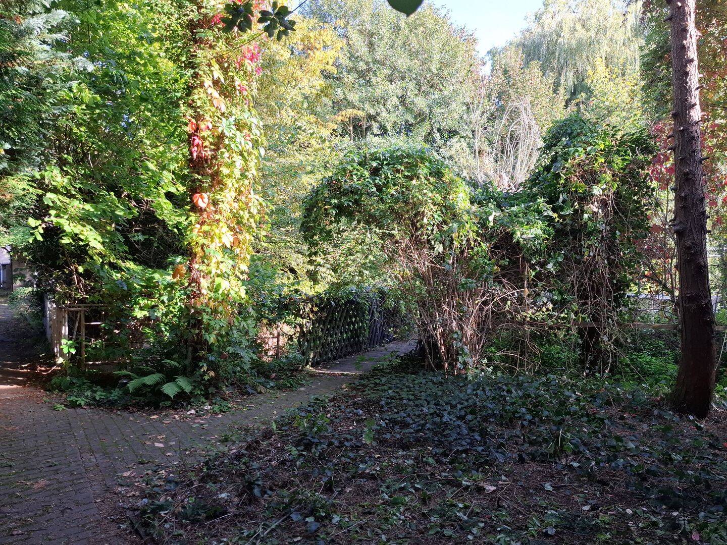 Bild 11
