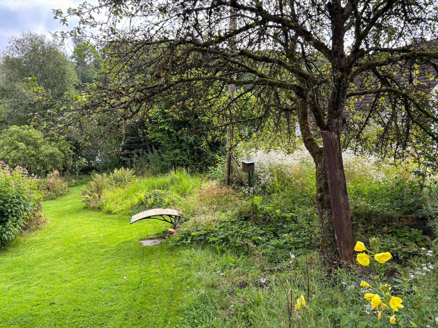Bild 9