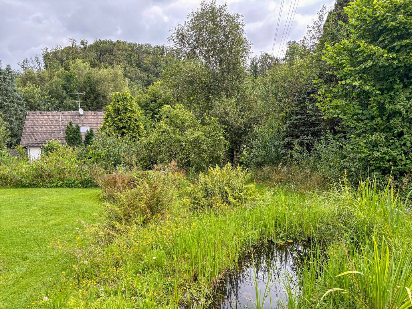 Bild 10
