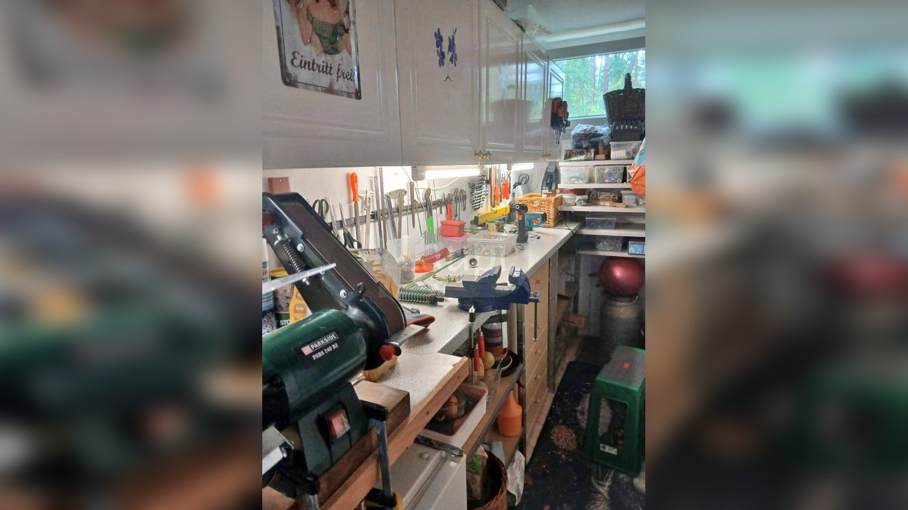 Bild 11