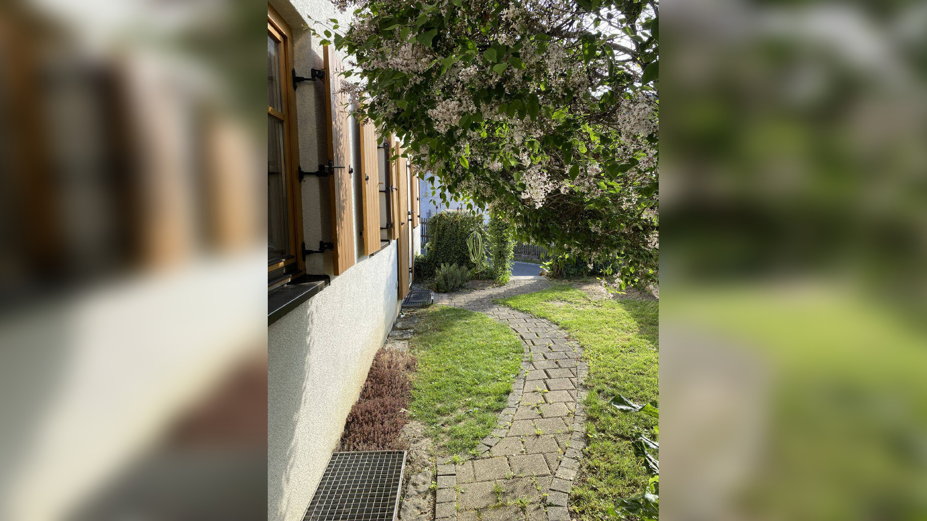 Bild 15