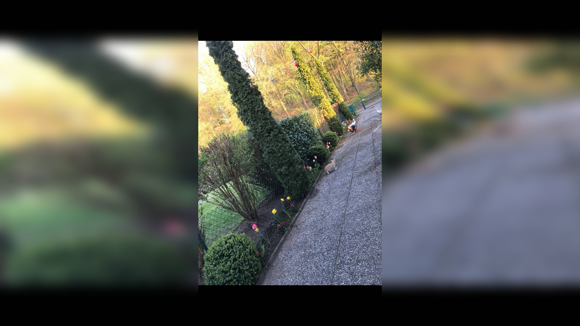 Bild 8