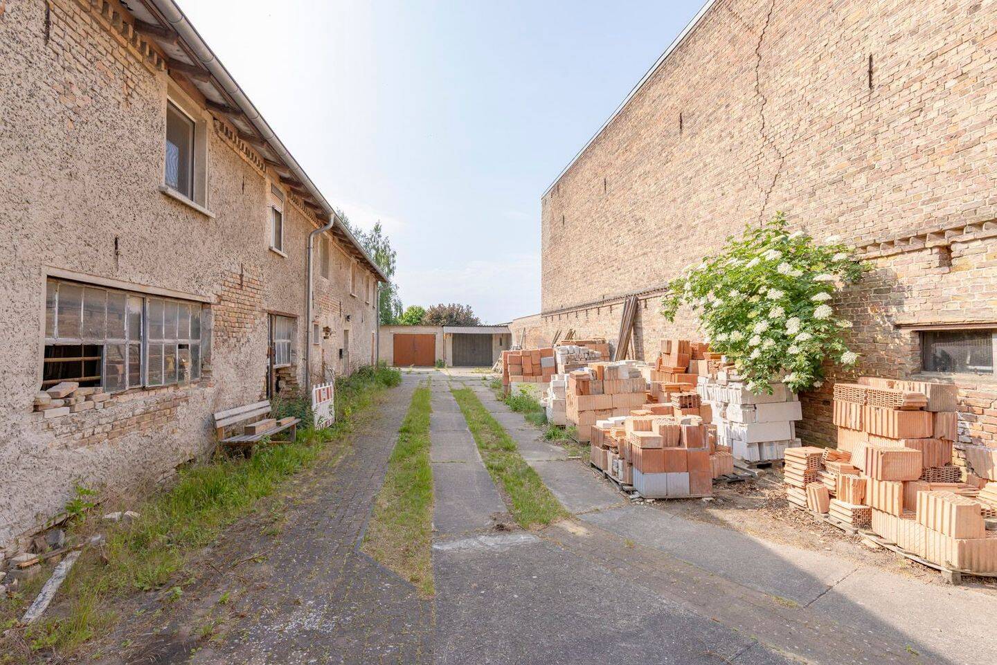 Bild 12