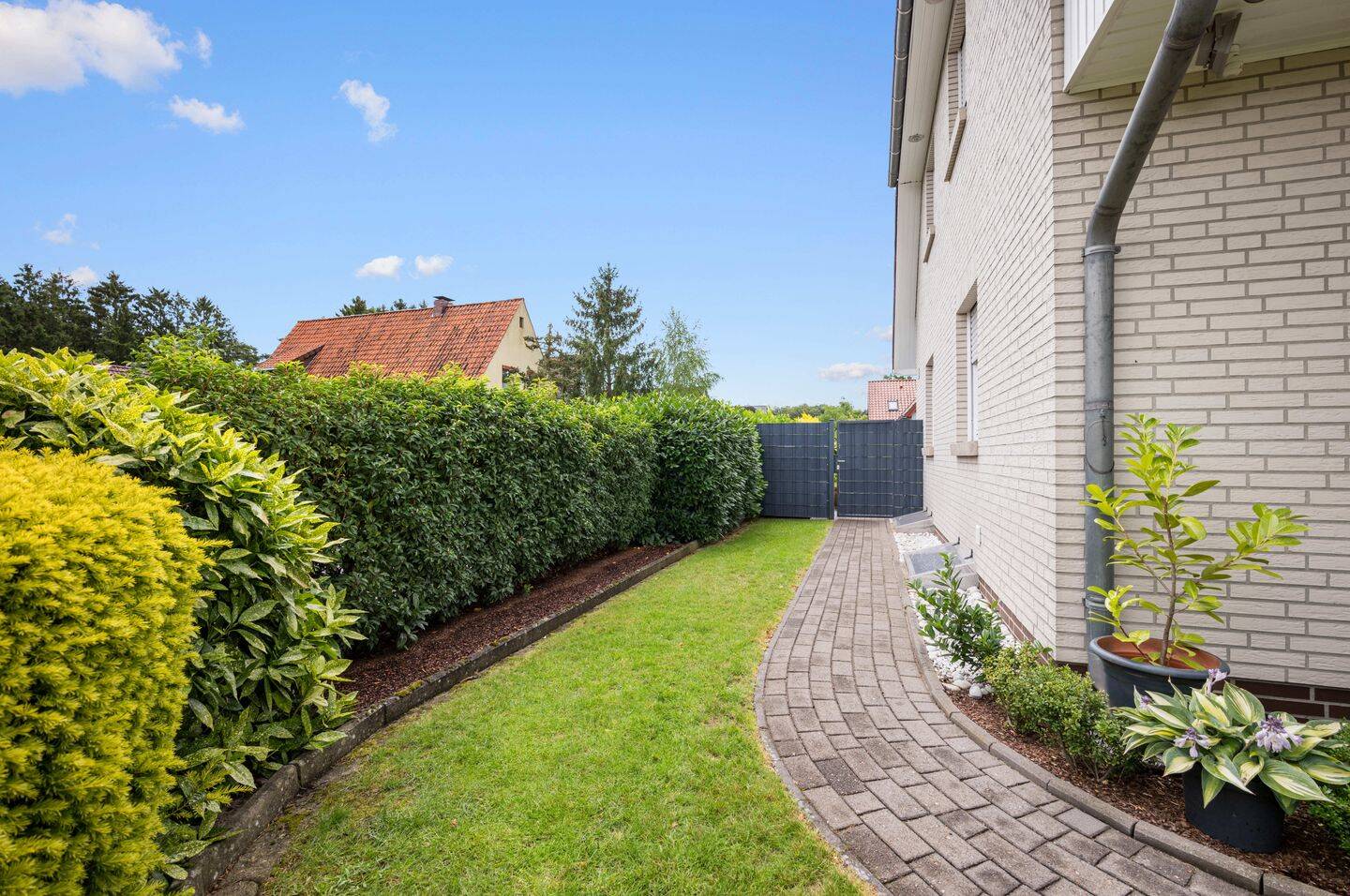 Bild 15