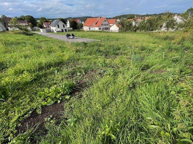 Bild 8